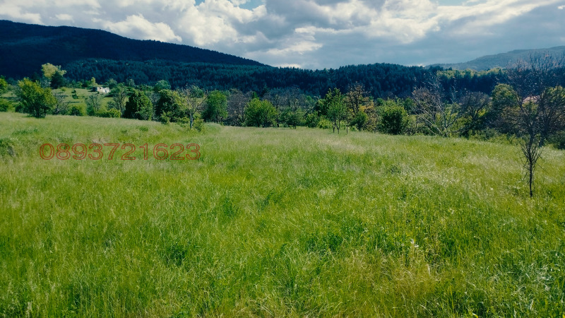 À vendre  Parcelle région Smolyan , Pavelsko , 2000 m² | 63378752 - image [3]