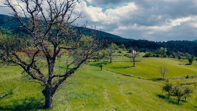 À vendre  Parcelle région Smolyan , Pavelsko , 2000 m² | 63378752 - image [5]