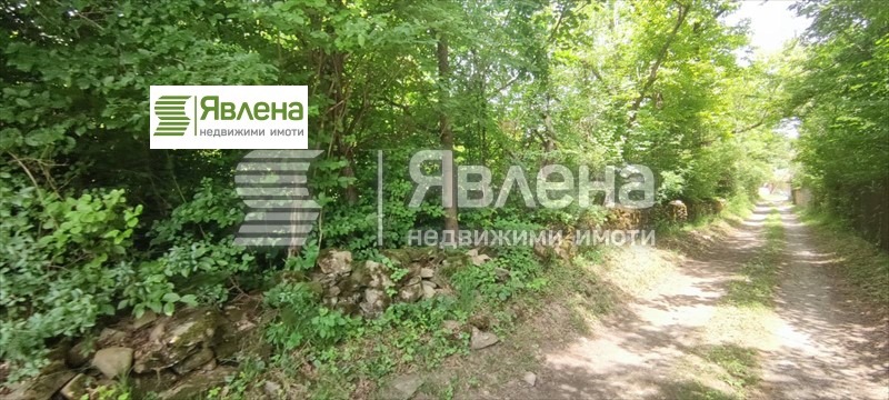 Eladó  Cselekmény régió Lovech , Oresak , 3937 négyzetméter | 11741118 - kép [4]