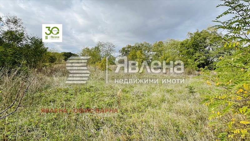 Продава ПАРЦЕЛ, с. Камен бряг, област Добрич, снимка 4 - Парцели - 48215650