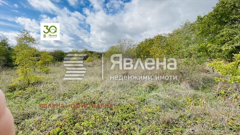 Продава ПАРЦЕЛ, с. Камен бряг, област Добрич, снимка 5 - Парцели - 48215650