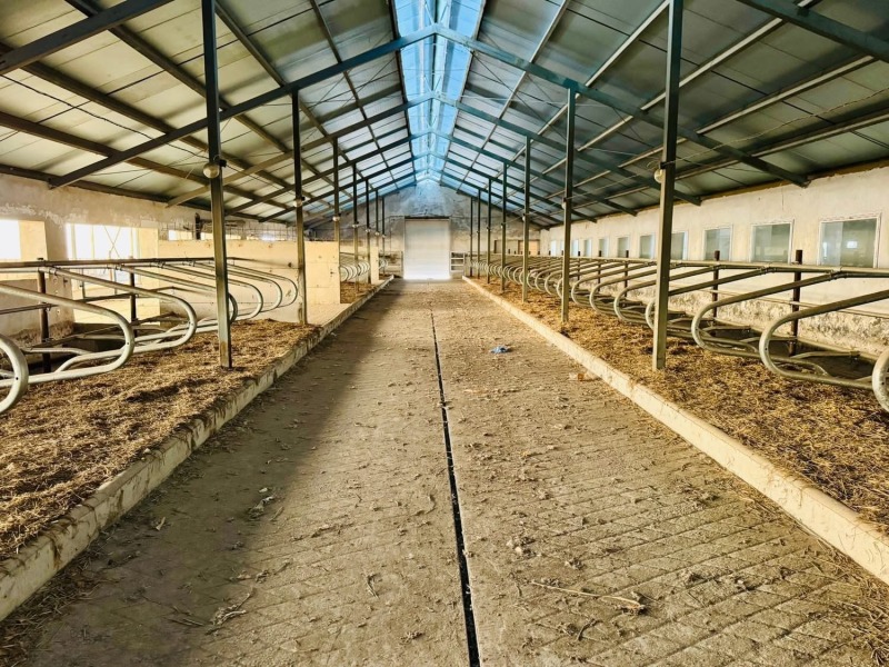 Продава БИЗНЕС ИМОТ, с. Владимирово, област Монтана, снимка 4 - Други - 52734282