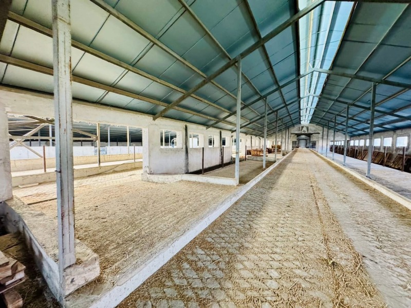 Продава БИЗНЕС ИМОТ, с. Владимирово, област Монтана, снимка 8 - Други - 52734282