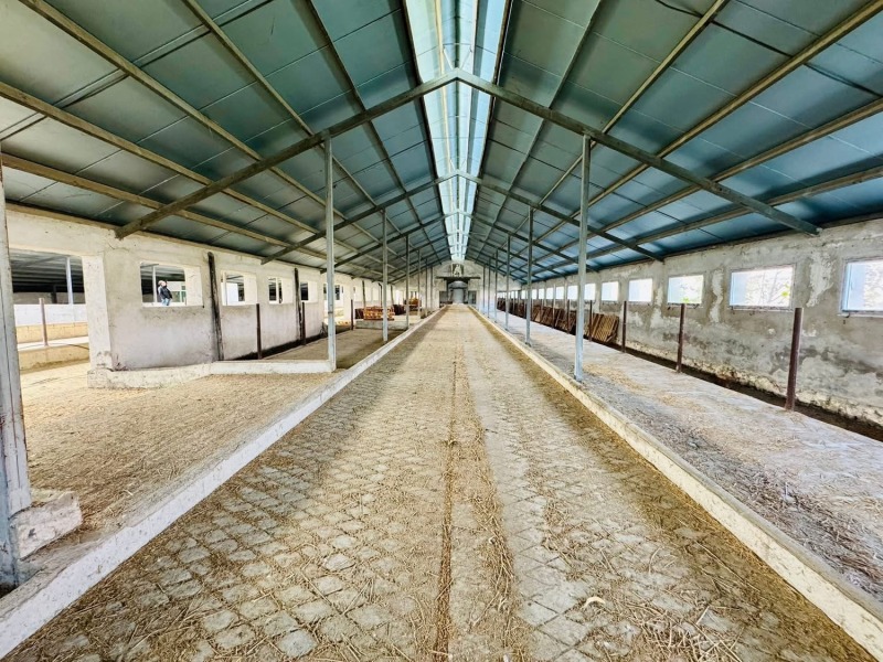 Продава БИЗНЕС ИМОТ, с. Владимирово, област Монтана, снимка 10 - Други - 52734282