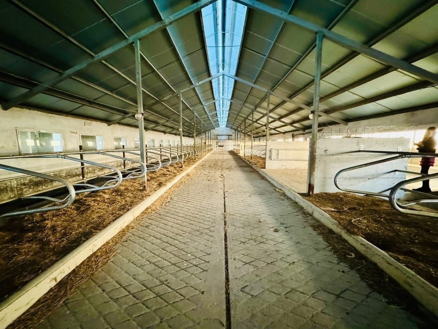 Продава БИЗНЕС ИМОТ, с. Владимирово, област Монтана, снимка 2 - Други - 54431543