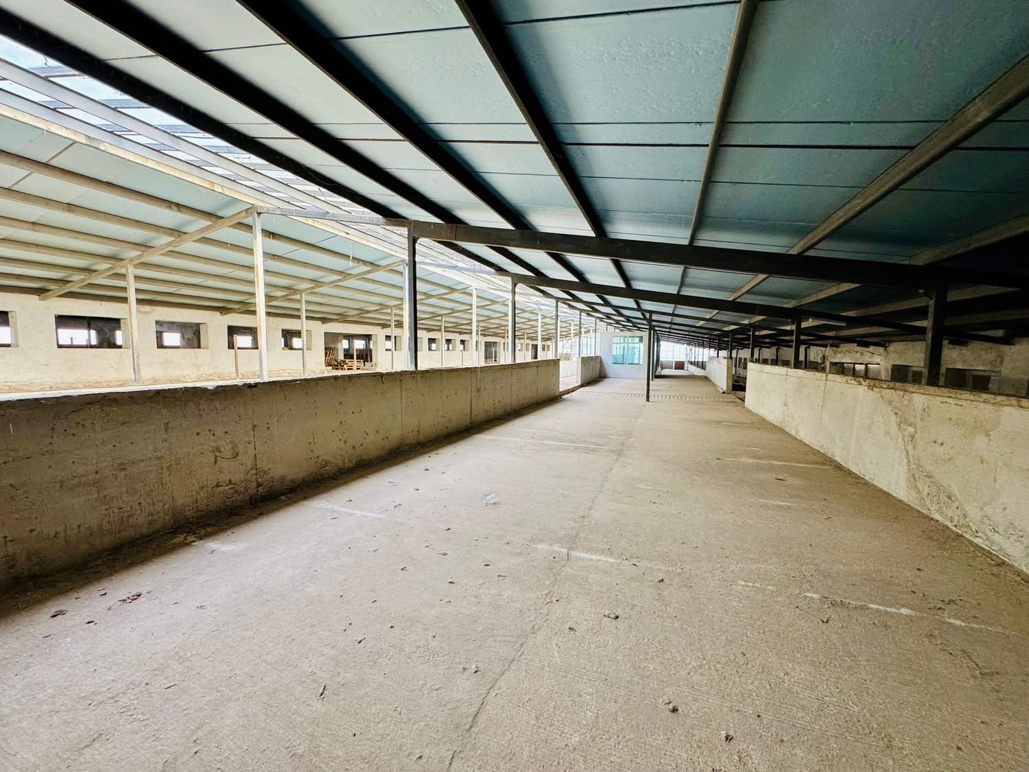 Продава БИЗНЕС ИМОТ, с. Владимирово, област Монтана, снимка 11 - Други - 53797568