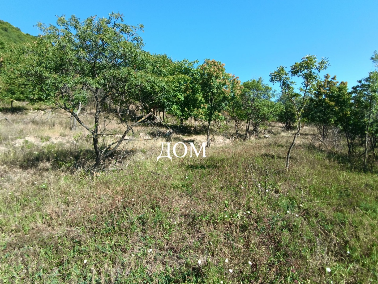 ������� ������ | Imot.bg � ����������� 5