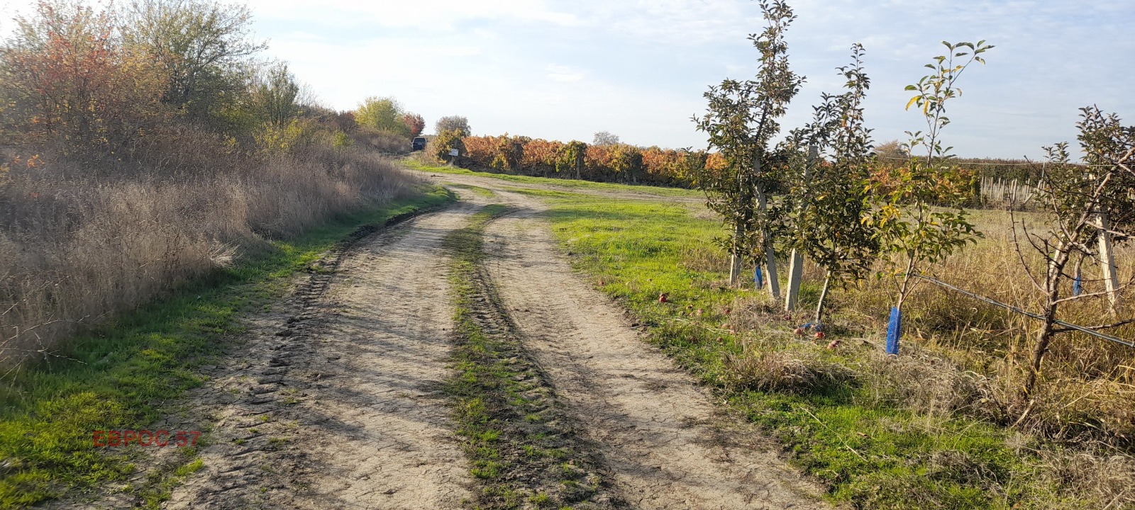 Продава ПАРЦЕЛ, с. Брестник, област Пловдив, снимка 7 - Парцели - 52299178