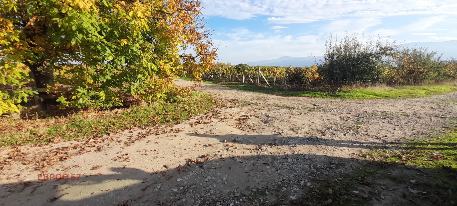 Продава ПАРЦЕЛ, с. Брестник, област Пловдив, снимка 9 - Парцели - 52299178