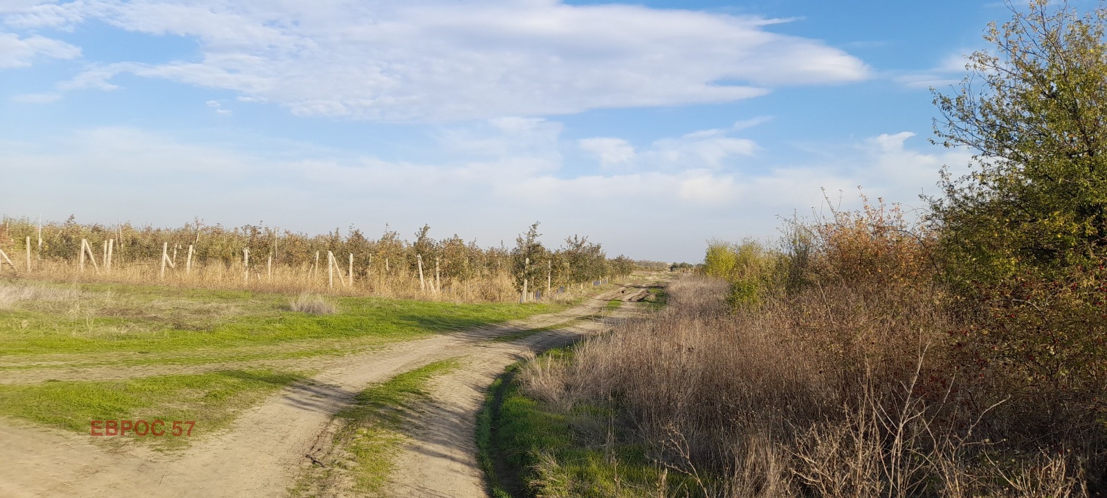 Продава ПАРЦЕЛ, с. Брестник, област Пловдив, снимка 4 - Парцели - 52299178