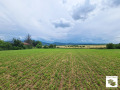 Продава ПАРЦЕЛ, с. Церова кория, област Велико Търново, снимка 2