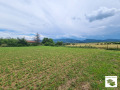 Продава ПАРЦЕЛ, с. Церова кория, област Велико Търново, снимка 3