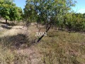 Продава ПАРЦЕЛ, гр. Шумен, м-т Сакарка, снимка 2
