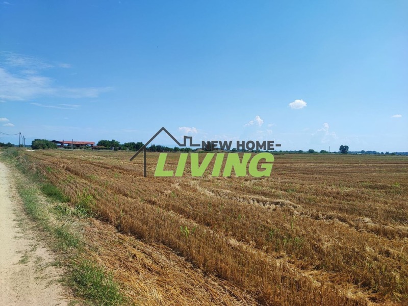 Продава ПАРЦЕЛ в област Пловдив, с. Скутаре - 3200 кв.м / 33 000 € » 64 542.39 лв., НЮ ХОУМ ЛИВИНГ ЕООД