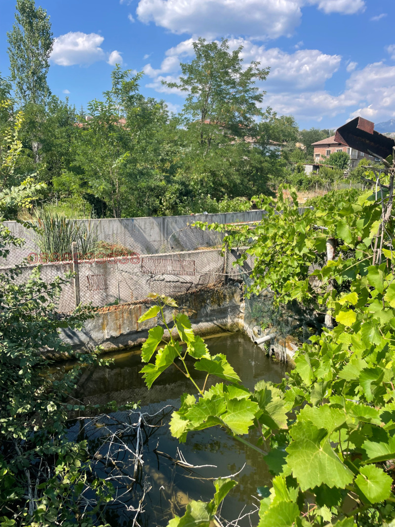 Продава ПАРЦЕЛ, с. Струмяни, област Благоевград, снимка 3 - Парцели - 52779678