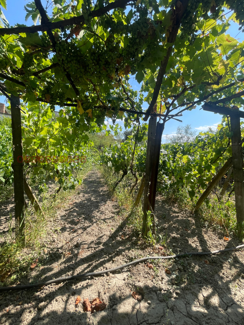 Продава ПАРЦЕЛ, с. Струмяни, област Благоевград, снимка 4 - Парцели - 52779678