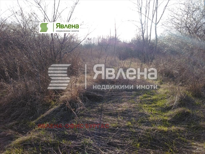 For Sale  Plot region Burgas , Tsarevo , 3031 sq.m | 68992170 - image [6]