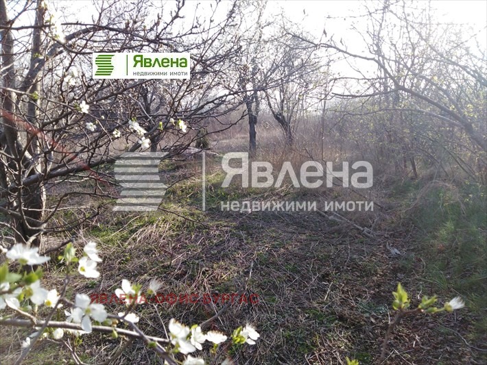 For Sale  Plot region Burgas , Tsarevo , 3031 sq.m | 68992170