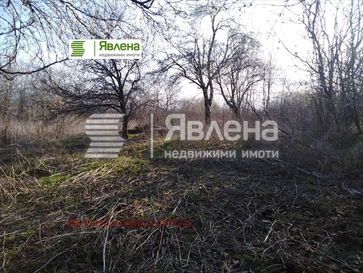 For Sale  Plot region Burgas , Tsarevo , 3031 sq.m | 68992170 - image [2]