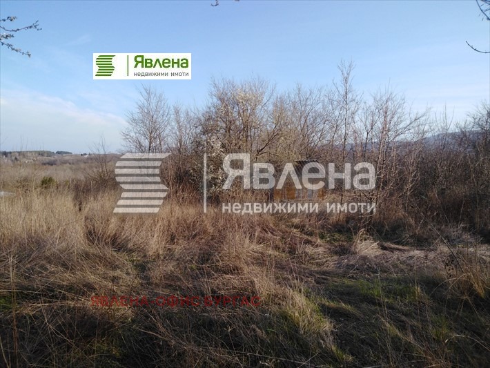 For Sale  Plot region Burgas , Tsarevo , 3031 sq.m | 68992170 - image [5]