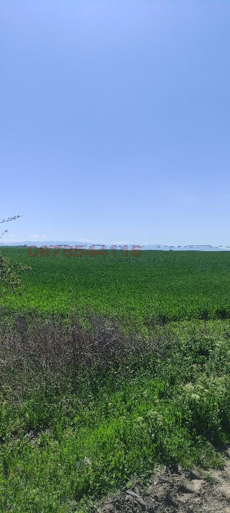 Продава ЗЕМЕДЕЛСКА ЗЕМЯ, с. Черничево, област Пловдив, снимка 4 - Земеделска земя - 52781714