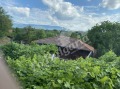 Продава КЪЩА, с. Церова кория, област Велико Търново, снимка 11