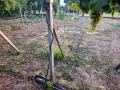 Продава КЪЩА, с. Щръклево, област Русе, снимка 17