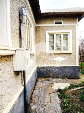 Hus Sokolovo, region Dobrich 1