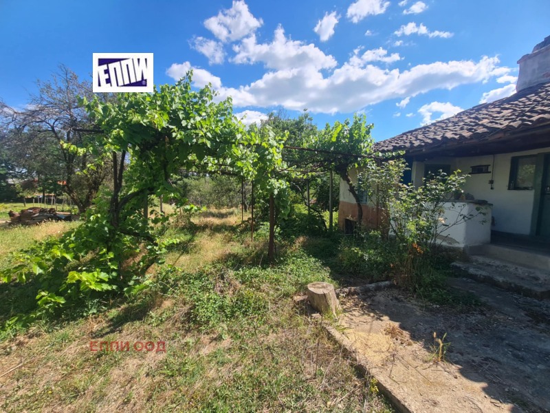 For Sale  House region Sofia , Petrich , 67 sq.m | 10333730 - image [11]