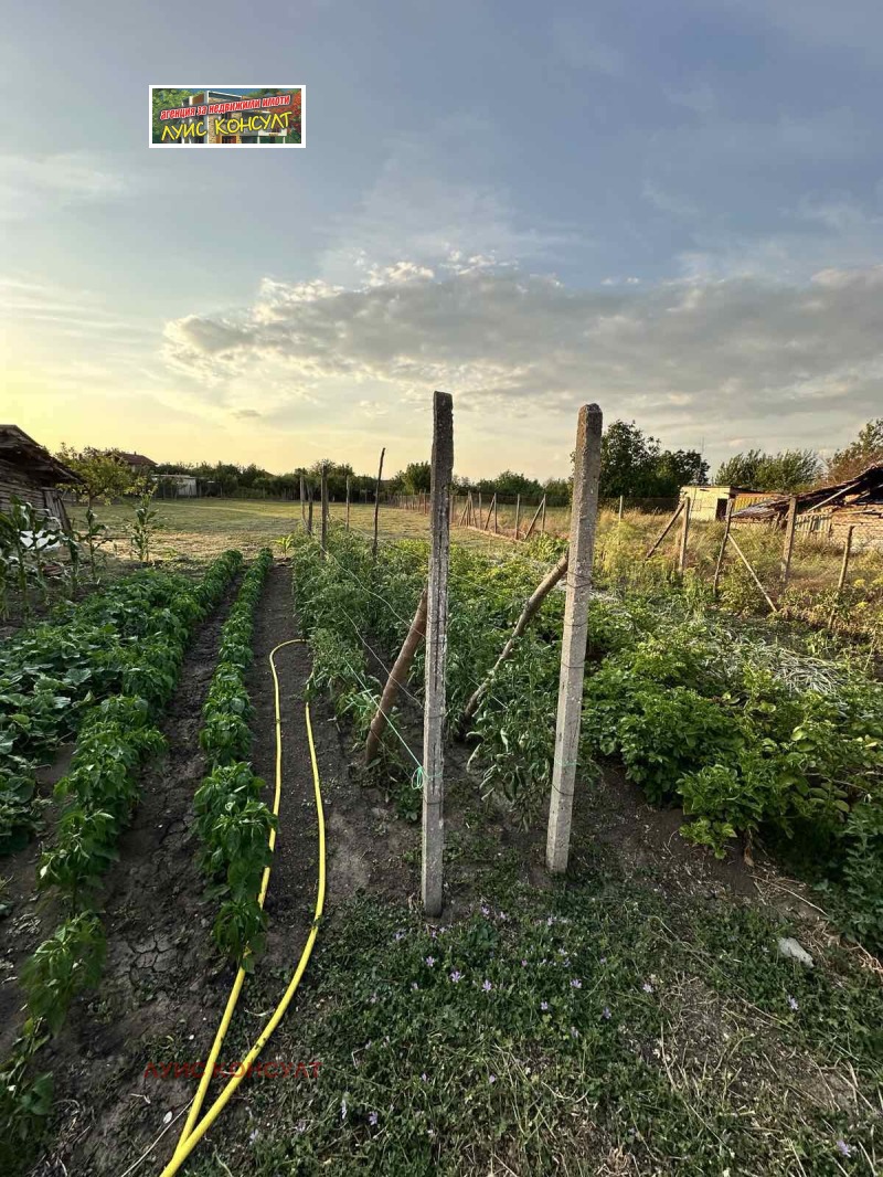 Продава КЪЩА, с. Медковец, област Монтана, снимка 16 - Къщи - 52650119