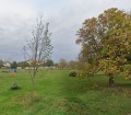 Продава ПАРЦЕЛ, гр. София, с. Чепинци, снимка 1