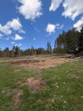 Продава ЗЕМЕДЕЛСКА ЗЕМЯ, гр. Батак, област Пазарджик, снимка 1