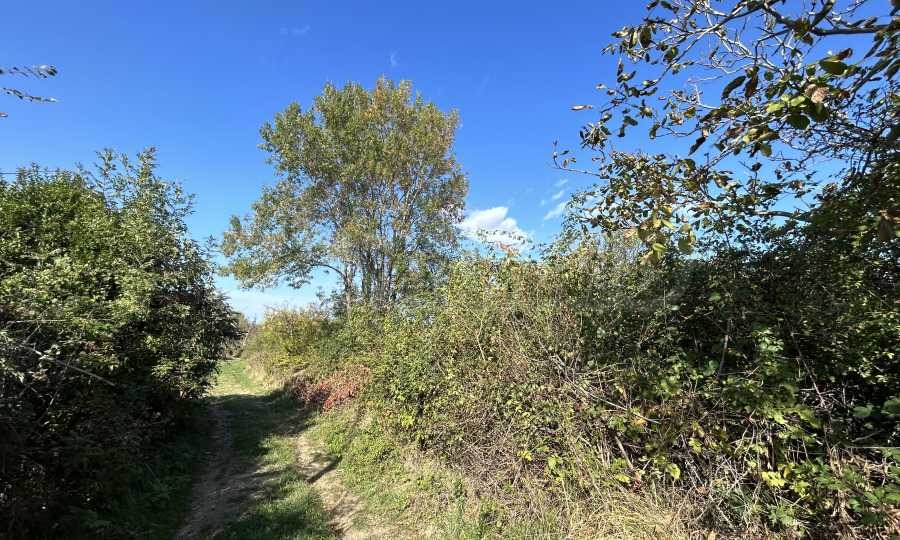 Продава ПАРЦЕЛ | Imot.bg — изображение 8