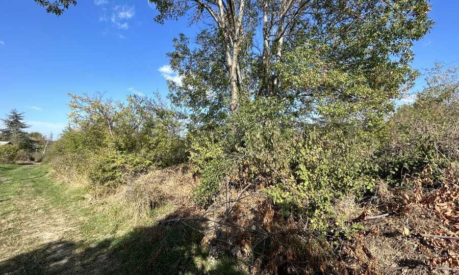 Продава ПАРЦЕЛ | Imot.bg — изображение 3