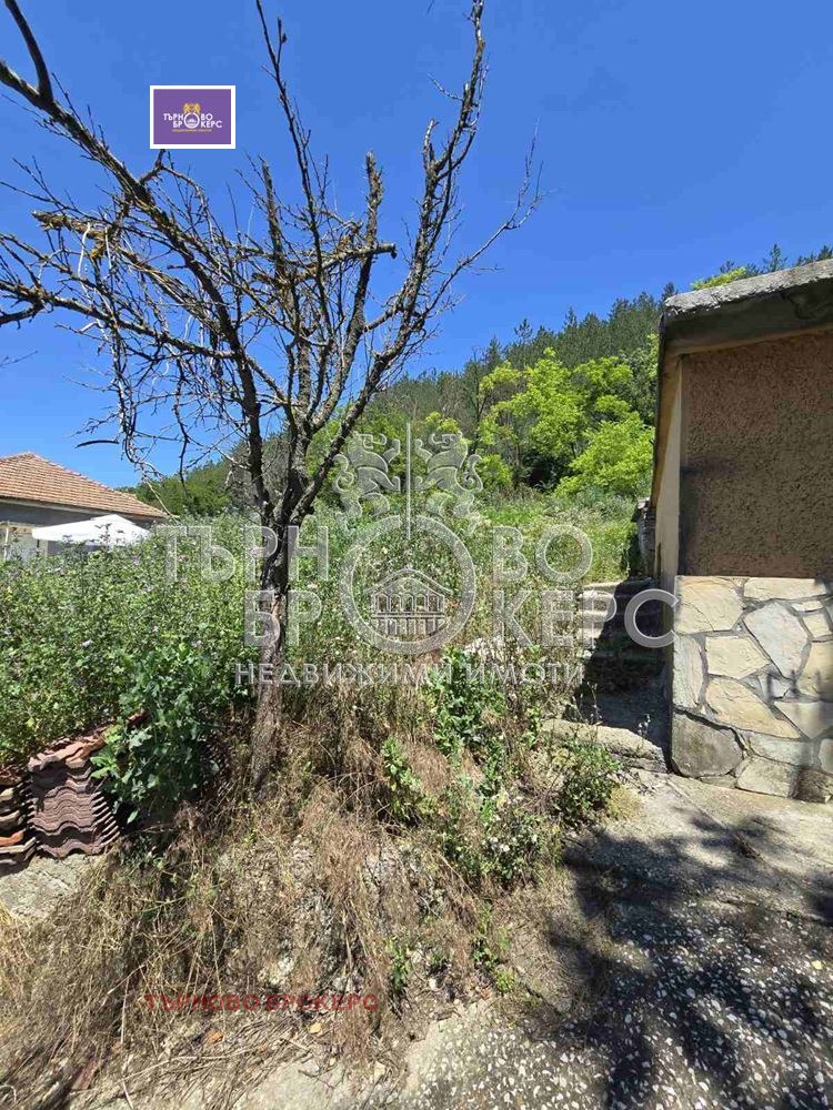 Продава КЪЩА, гр. Дебелец, област Велико Търново, снимка 7 - Къщи - 54914544