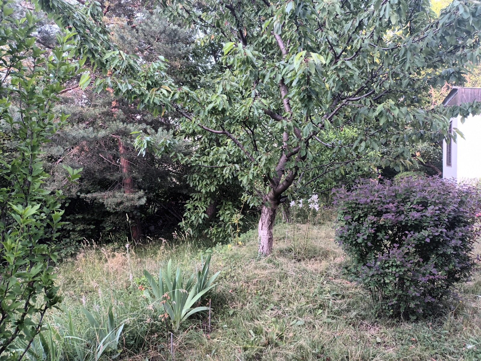 Продава ПАРЦЕЛ, гр. София, с. Панчарево, снимка 2 - Парцели - 55130822