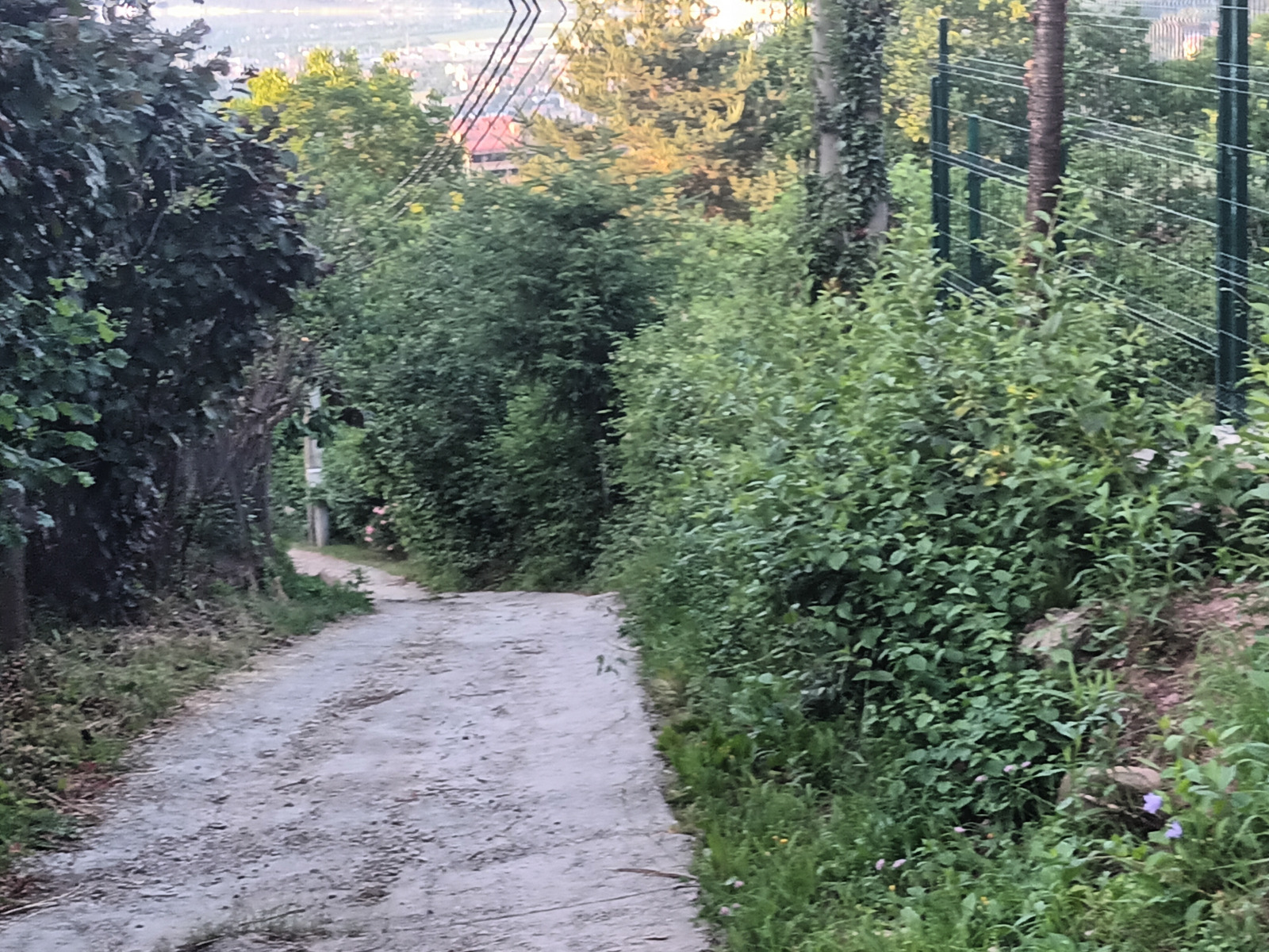 Продава ПАРЦЕЛ, гр. София, с. Панчарево, снимка 5 - Парцели - 55130822