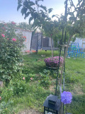 Продава  Къща област Пловдив , с. Иван Вазово , 145 кв.м | 30172573 - изображение [12]