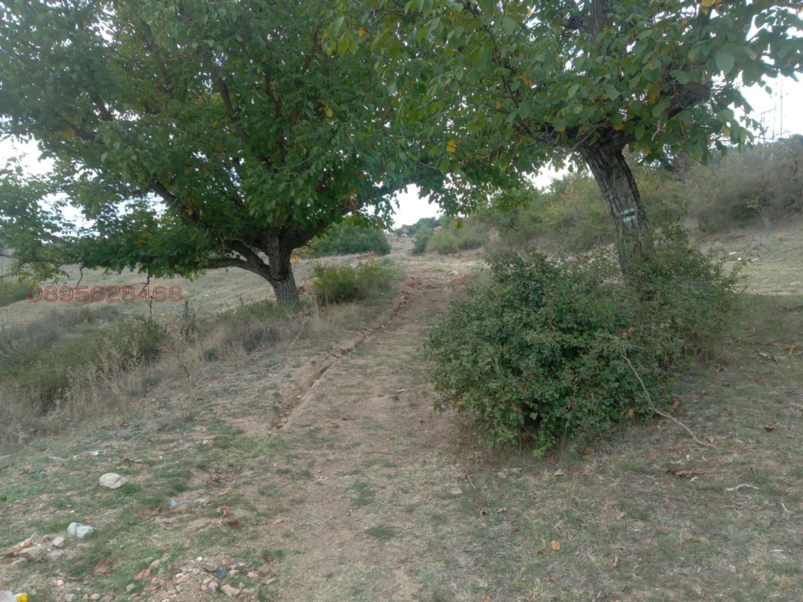 ������� ���������� ���� | Imot.bg � ����������� 7