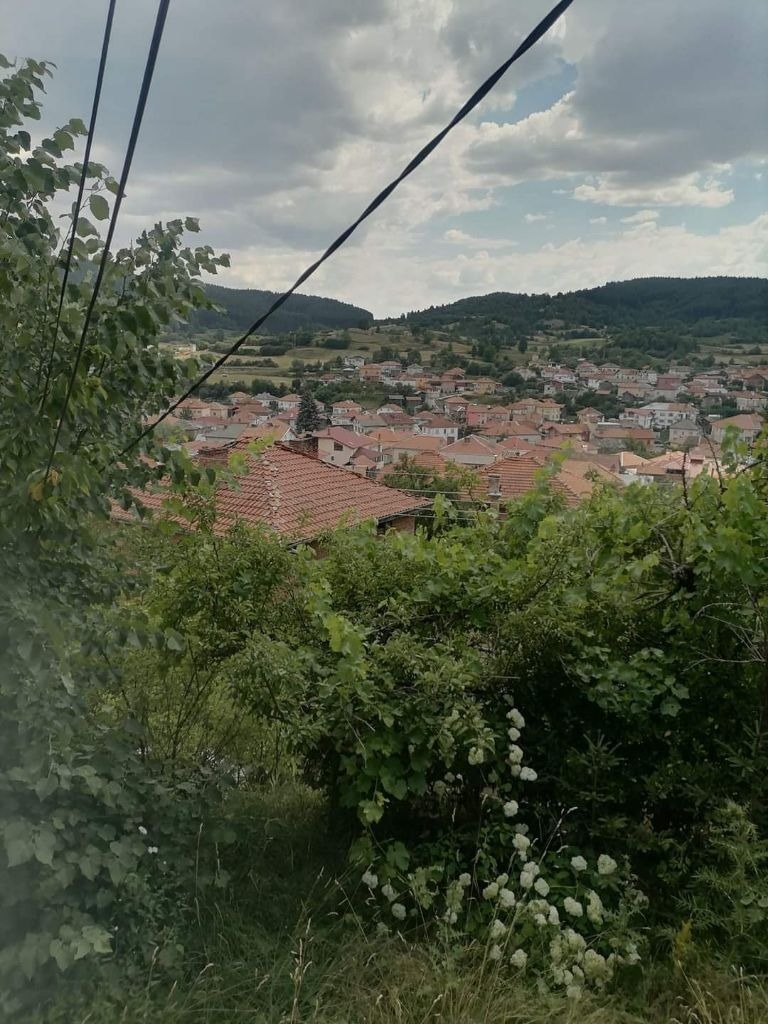 Til salgs  Hus region Blagoevgrad , Gotse Delsjev , 330 kvm | 39133777 - bilde [12]