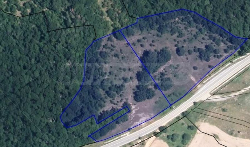De vânzare  Complot regiunea Burgas , Malco Târnovo , 18100 mp | 69088401 - imagine [2]