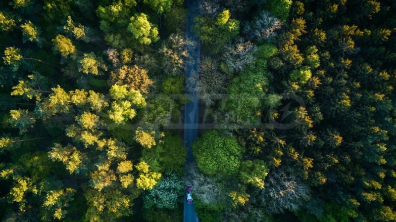 De vânzare  Complot regiunea Burgas , Malco Târnovo , 18100 mp | 69088401
