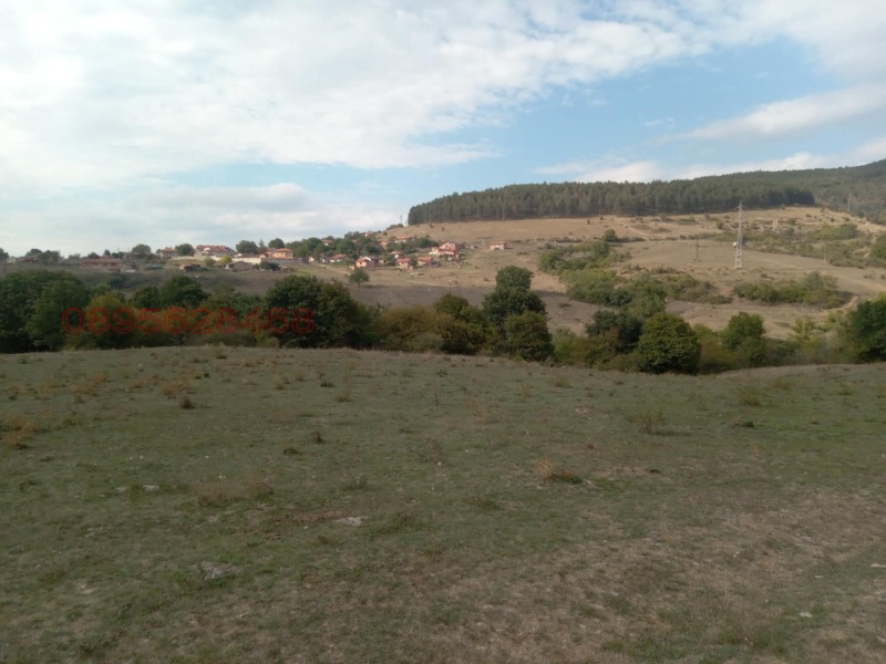 Продава ЗЕМЕДЕЛСКА ЗЕМЯ, с. Змейово, област Стара Загора, снимка 9 - Земеделска земя - 52781339