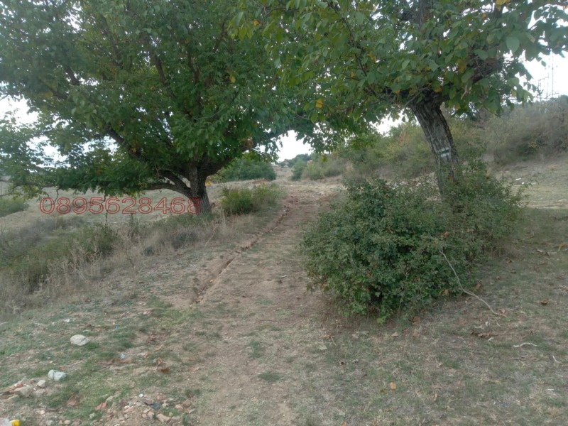 Продава ЗЕМЕДЕЛСКА ЗЕМЯ, с. Змейово, област Стара Загора, снимка 7 - Земеделска земя - 52781339