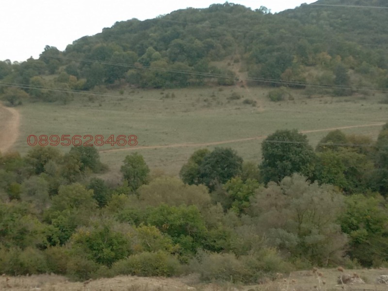 Продава ЗЕМЕДЕЛСКА ЗЕМЯ, с. Змейово, област Стара Загора, снимка 3 - Земеделска земя - 52781339