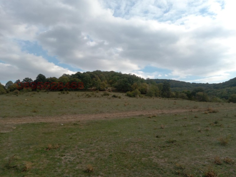 Продава ЗЕМЕДЕЛСКА ЗЕМЯ, с. Змейово, област Стара Загора, снимка 5 - Земеделска земя - 52781339