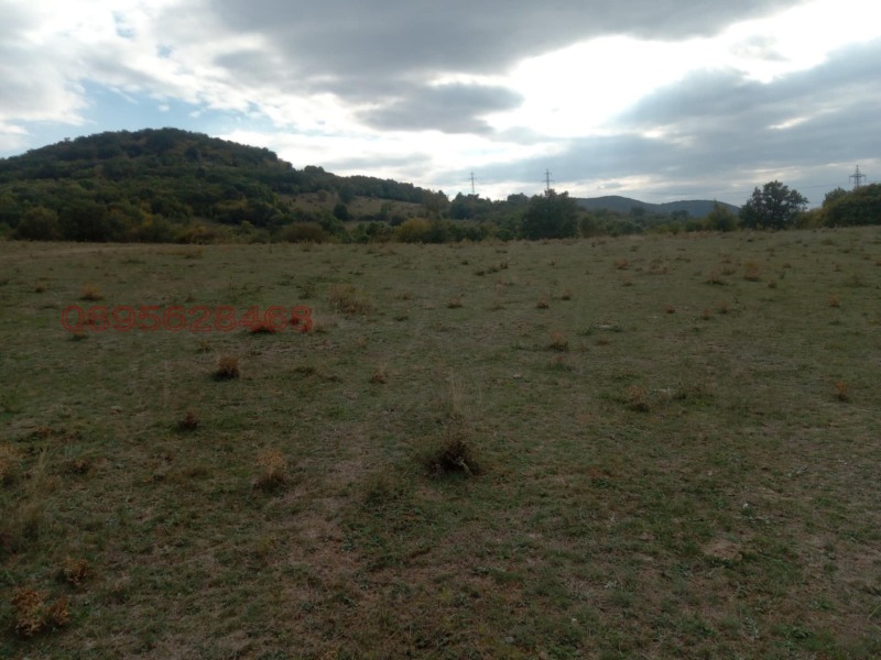 Продава ЗЕМЕДЕЛСКА ЗЕМЯ, с. Змейово, област Стара Загора, снимка 4 - Земеделска земя - 52781339