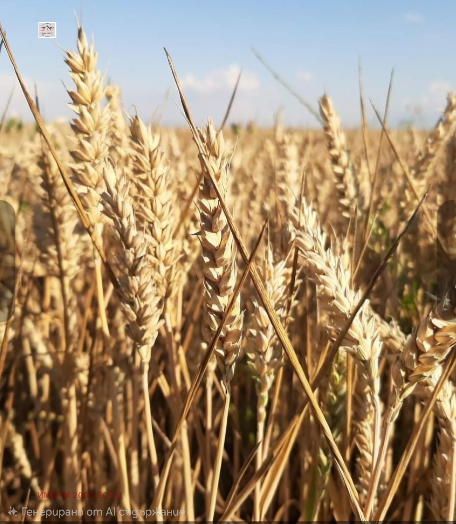 Продава ЗЕМЕДЕЛСКА ЗЕМЯ, с. Петрово, област Стара Загора