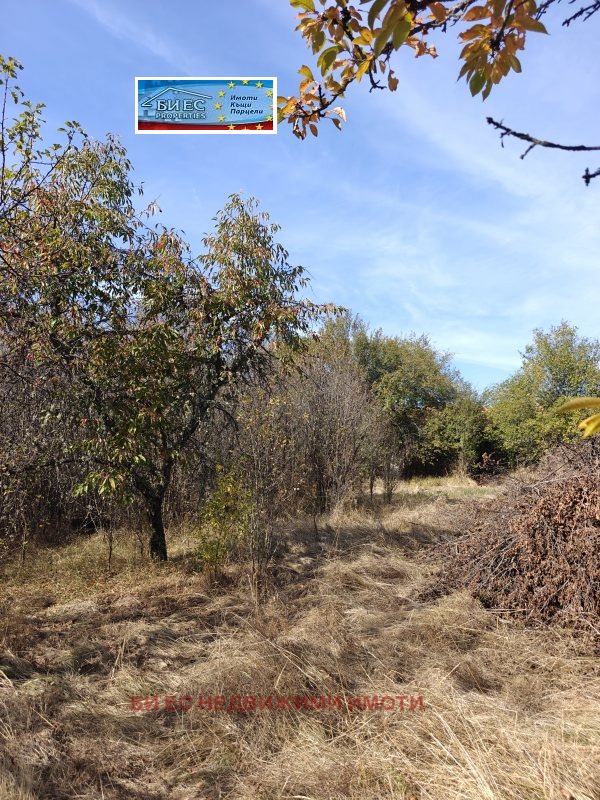 ������� ���� | Imot.bg � ����������� 17