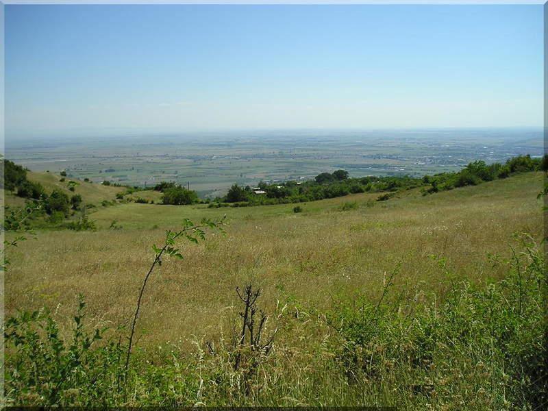 Til salg  Grund region Plovdiv , Ruen , 1808 kvm | 69955970 - billede [2]